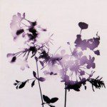 2aded_wel-0001 