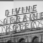 DIVINE LORRAINE, 2007 
