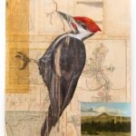 Woodpecker #4, 2006, oil, graphite, and collage on panel, 39 