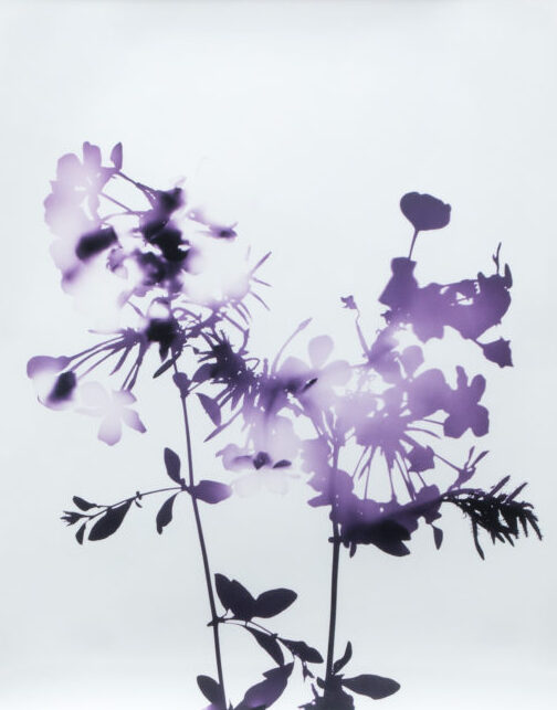 James Welling - Artist - Concept Art Gallery