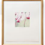 Untitled (pink flowers)Gary Bukovnik, 1988

Framed: 21in x 18in 