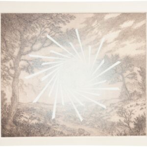 Clayton Merrell, "Landscape Alteration: Solar Flare"