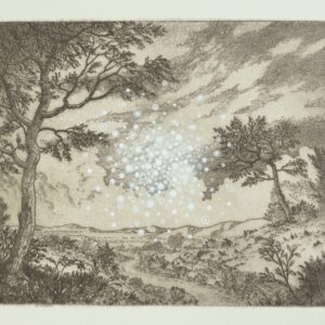 Clayton Merrell, "Landscape Alteration: Degeneration"