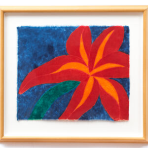 Carol Summers, "Narcissus Braziliana"