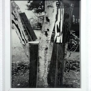 Martin Prekop photograph Tree Construction from Mirror House