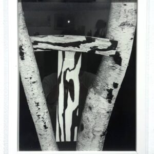 Martin Prekop photograph Tree Construction from Mirror House