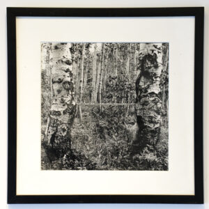 Martin Prekop 1970 photograph Landscape with Tape Measure