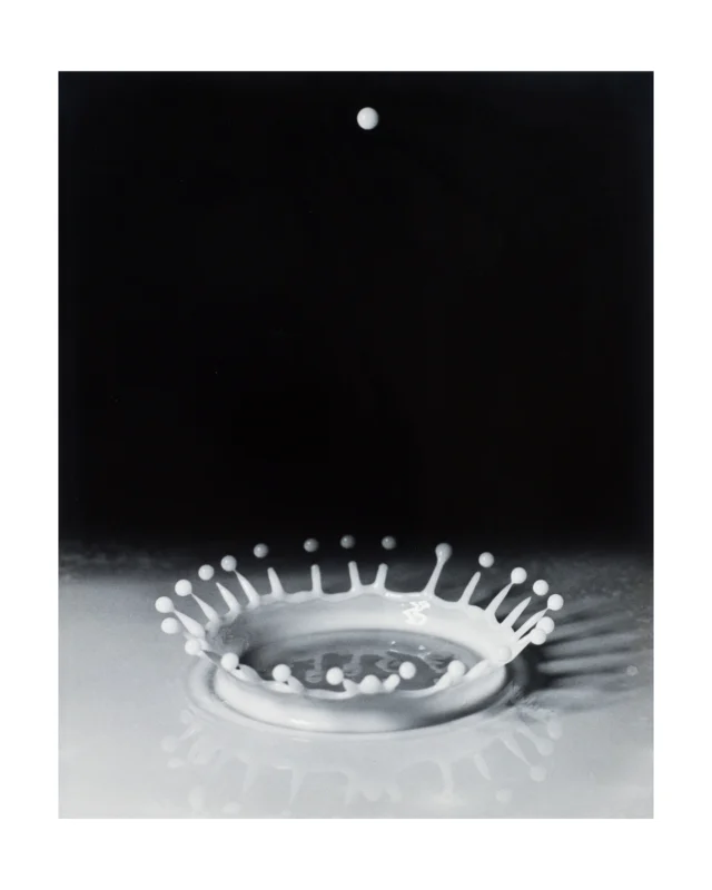We are excited to offer a beautiful line up of photographs by the Harold ‘Doc’ Edgerton, Edward Steichen, Charles ‘Teenie’ Harris, Mark Perrott and many more well-known photographers… 

In the June 7th Auction, starting at 10 am THIS SATURDAY🌟 (3 Days Left!) Follow along live online or in-person at 1031 S Braddock Ave. 

📢A reminder that you receive a 20% discount on custom framing with us when you win! This includes reframing a lot with an existing frame. 

Explore the complete catalog at bid.conceptgallery.com
🔗 in bio. 

#liveauction #artauction #photographs #photogravure #photography #blackandwhitephotography #edwardsteichen #edgerton #milkdropcoronet #ellioterwitt #christo #raymetzker #arthurpillsbury #markperrott #georgetice #teenieharris #collectors #artcollectors #framing #customframing